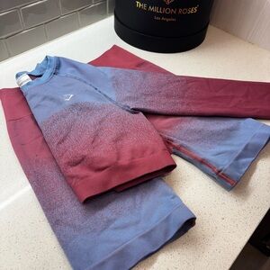 Pink and Blue Gym Shark Set